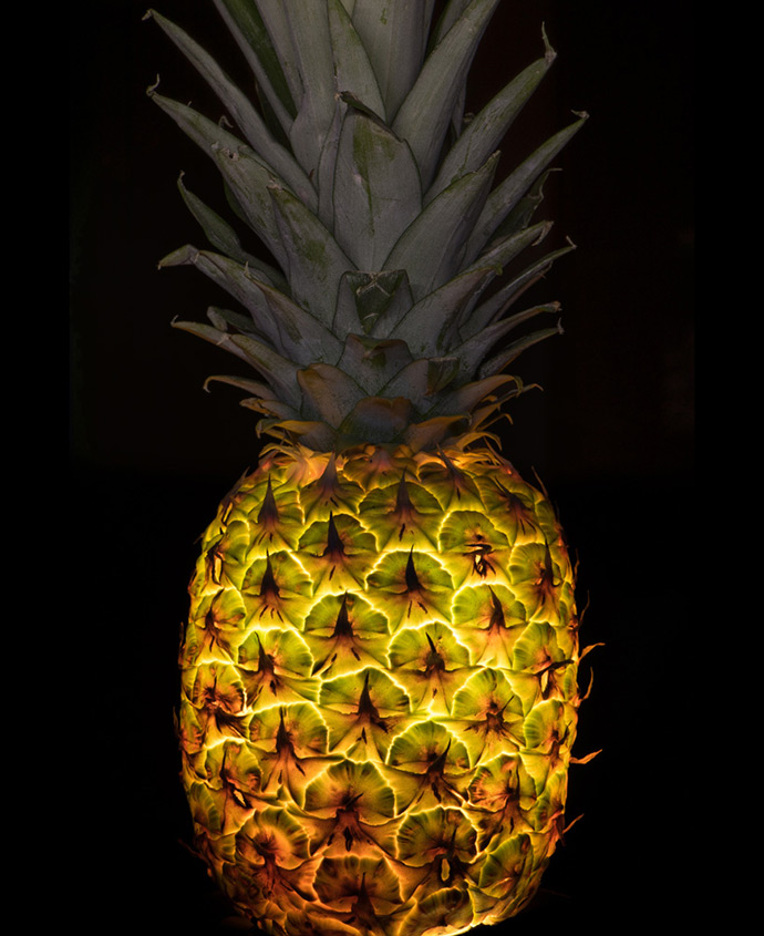 Radu Zaciu's Real Fruit Lights