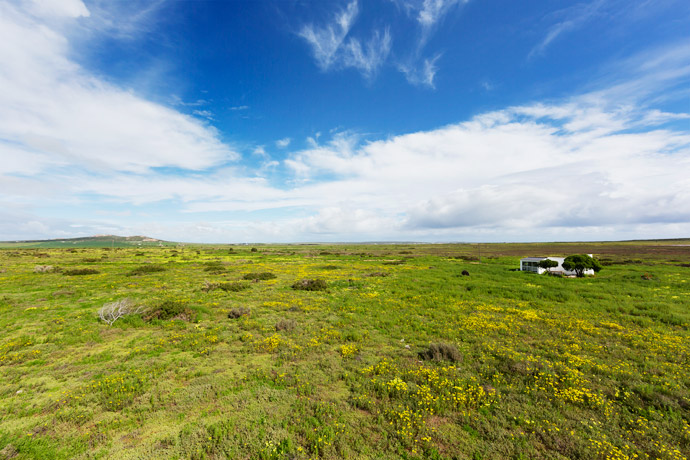 Kobus van der Merwe’s farm cottage is situated about 4 km from Paternoster at the foot of Kasteelberg. The strandveld vegetation is adapted to the alkaline, sandy soil of the West Coast.
