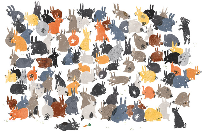 Rabbits