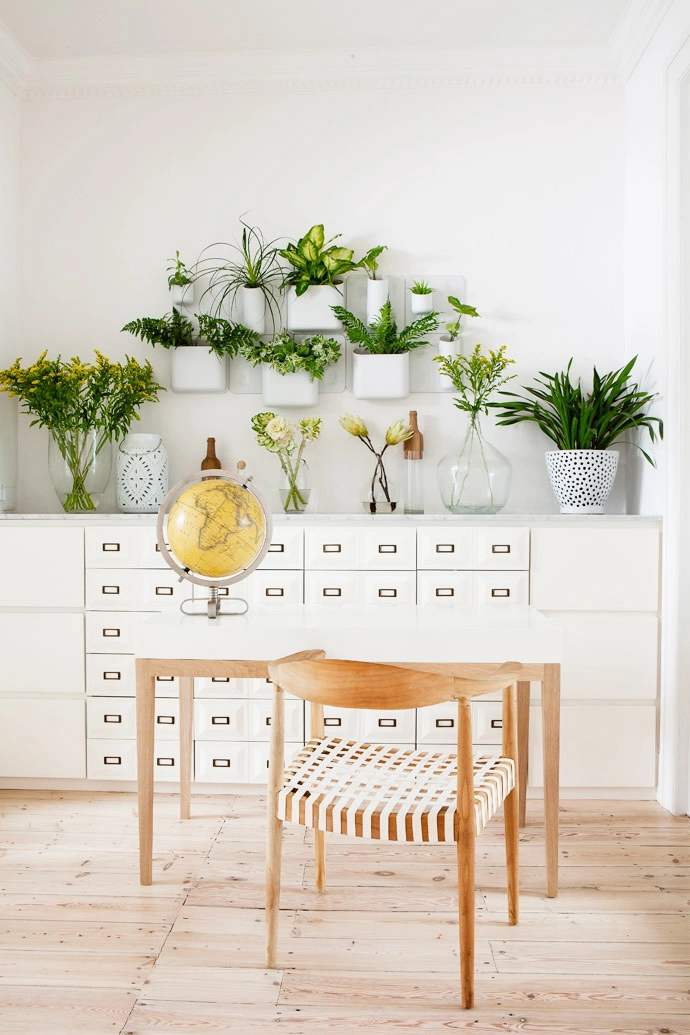 The White Lotus Wellness Centre