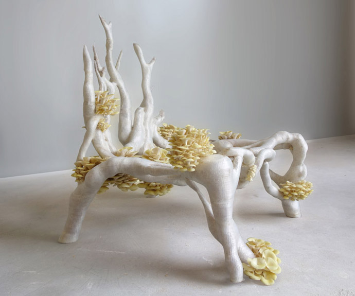 Eric Klarenbeek's Mycelium Project