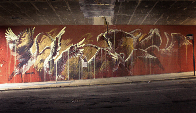 The Psychic Power of Animals (Image credit: Daniel Greenfield)