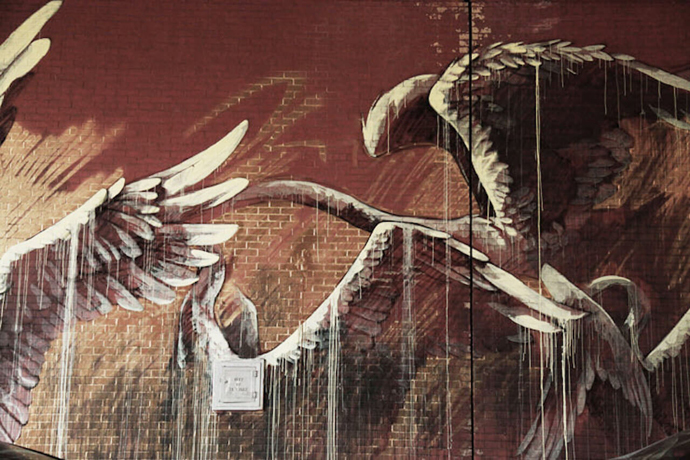 The Psychic Power of Animals (Image credit: Jaime Rojo)