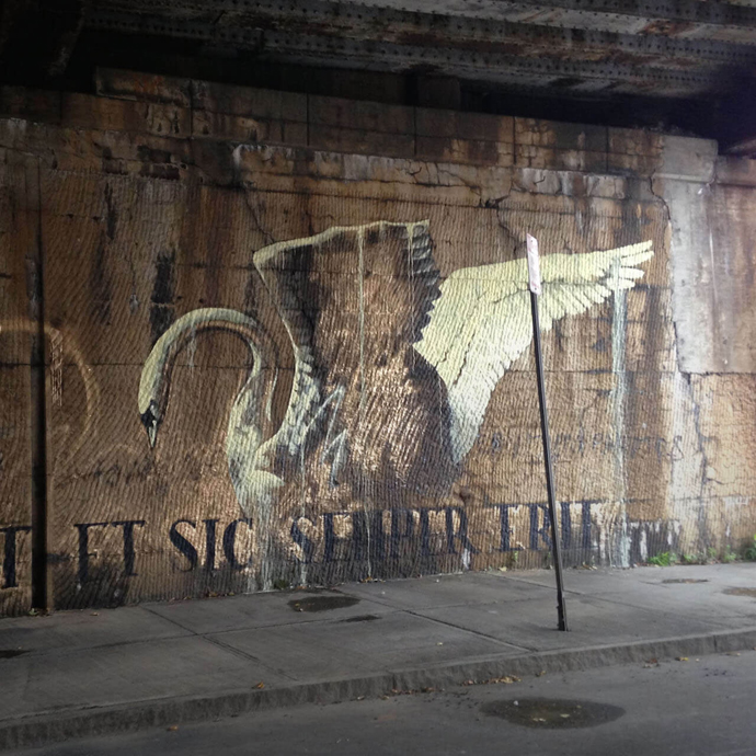 The Psychic Power of Animals 