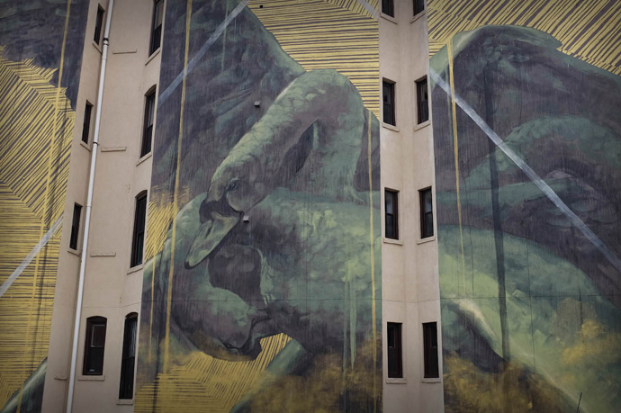 The Psychic Power of Animals 