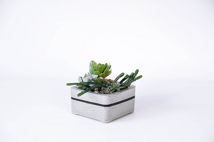 Screen Shot 2015-12-07 at 11.56.08 AM