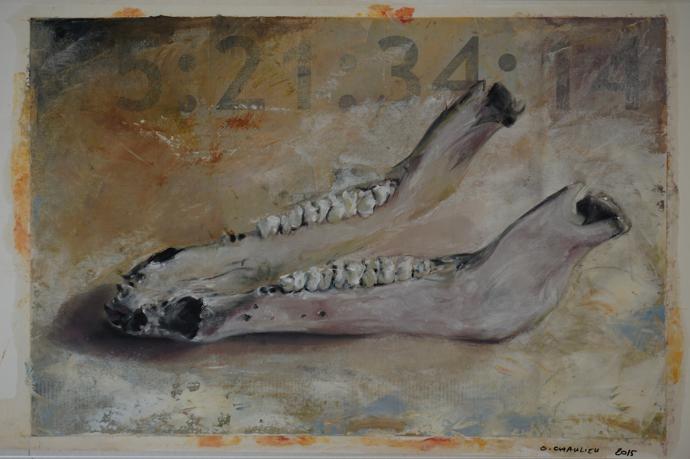 Time-coded Vanité Animale Jaw #3, 30 cm x 45 cm, oil on ink-jet print, 2015.