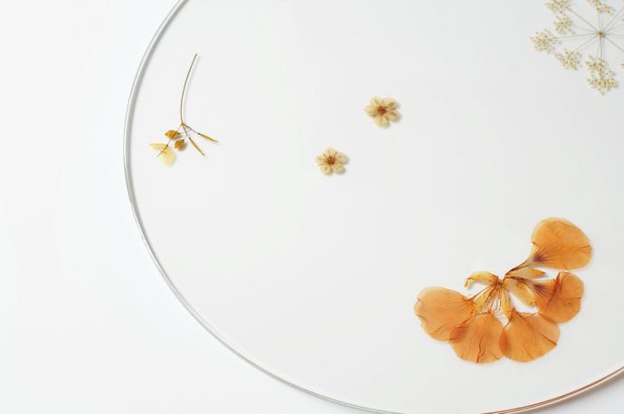 evergreen-platters-meike-harde06