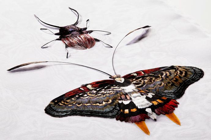 M&OS16-TALC-JULIEN-VERMEULEN-ECHANTILLONS-INSECTES-01