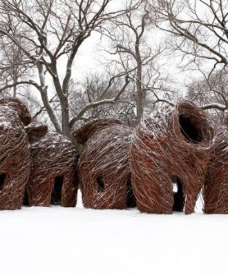 patrick dougherty