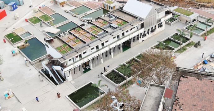 floating_fields_by_thomas_chung