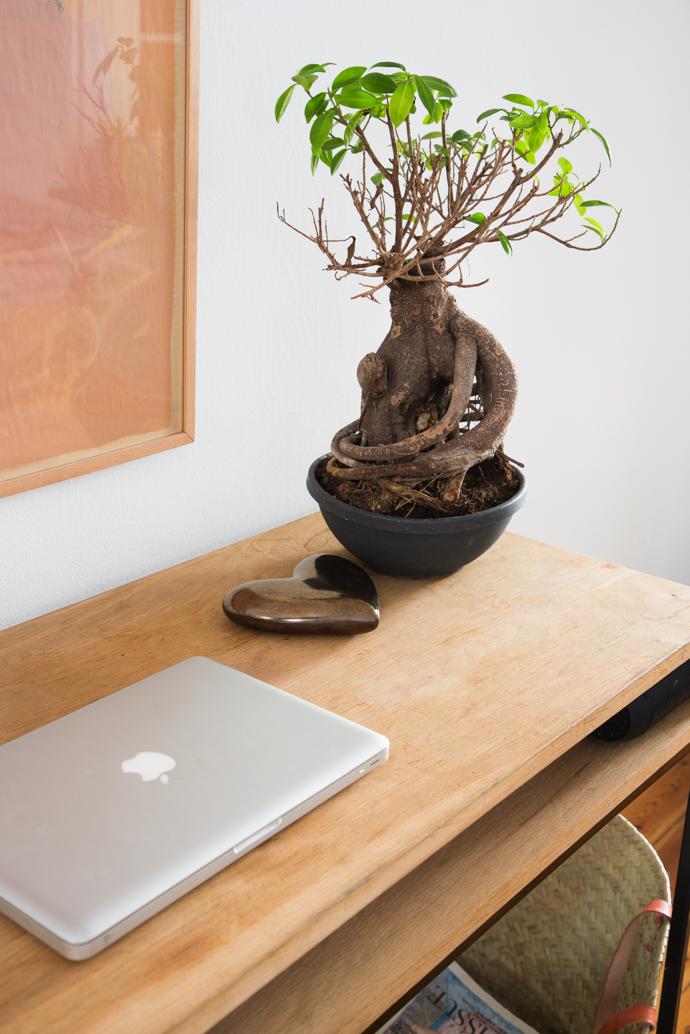 GreenPointHome_VISI11