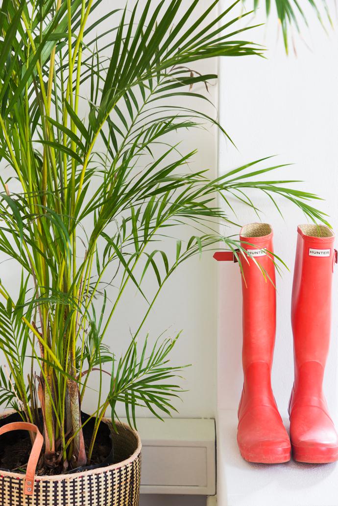 GreenPointHome_VISI8