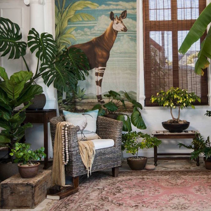 Okapi Wall Hanging by HOT COFFEE.