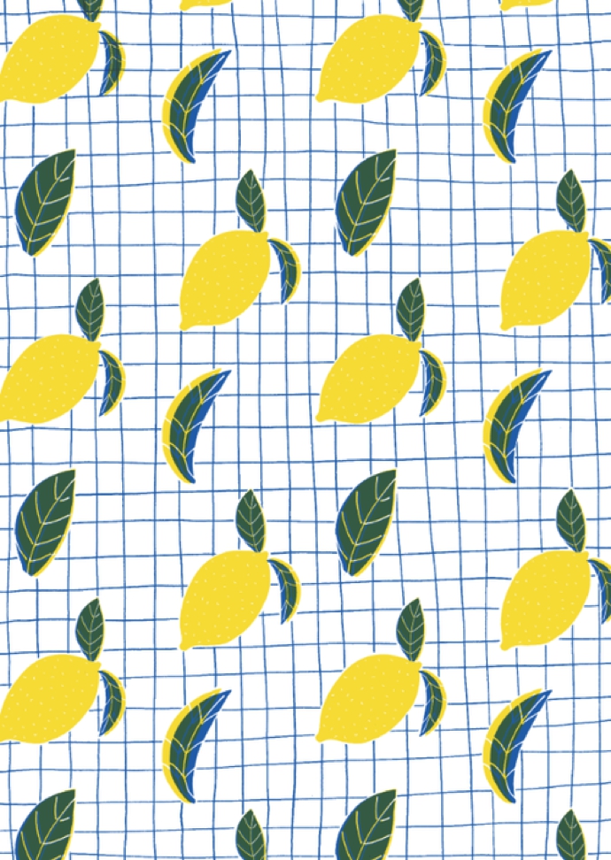 HelloMarine-Citron2