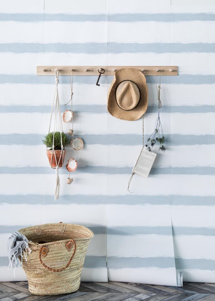 shore-lines_coast_life-1