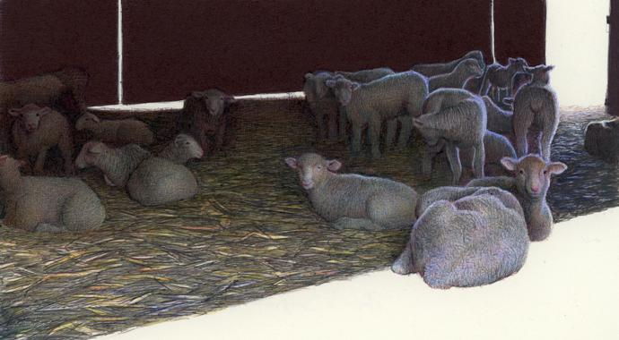 Ballpoint Pen Drawings By Nicholas V Sanchez2