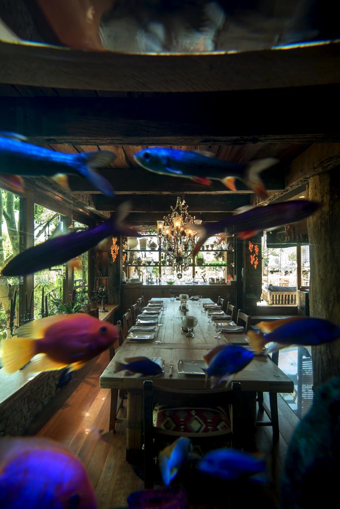 A huge fish tank forms a wall between the living and dining areas.