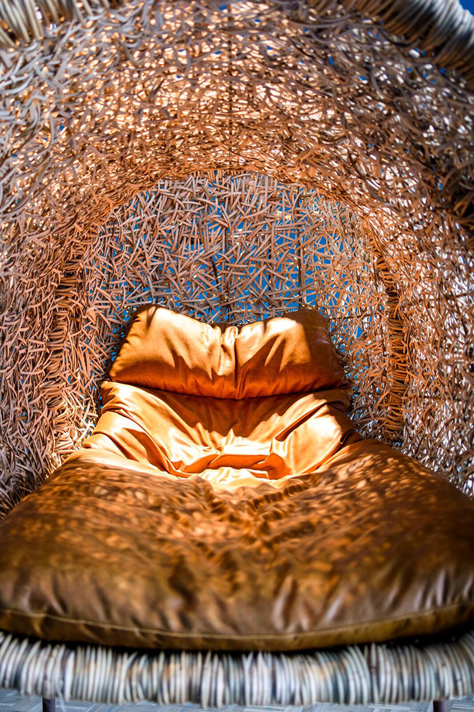 Joyce. Image credit: Adriaan Louw.