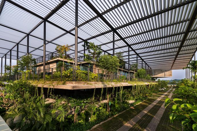 Factory In The Forest in Penang, Malaysia. IMAGE: Lin Ho