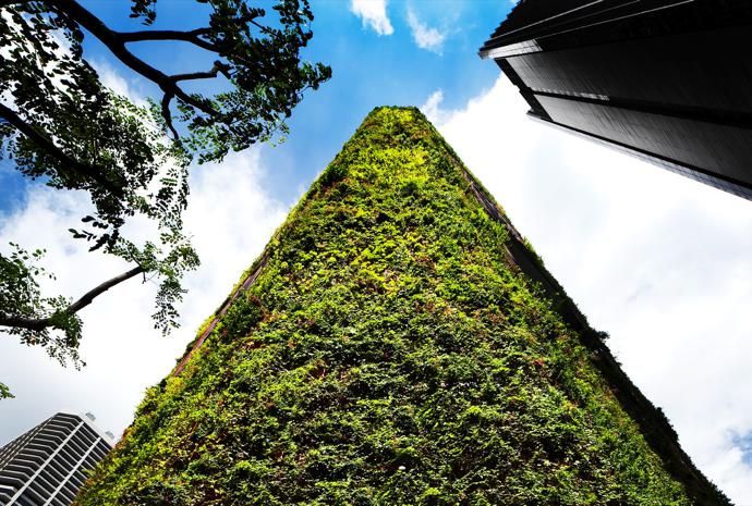 Oasia Hotel Downtown in Singapore. IMAGE: Patrick Bingham-Hall