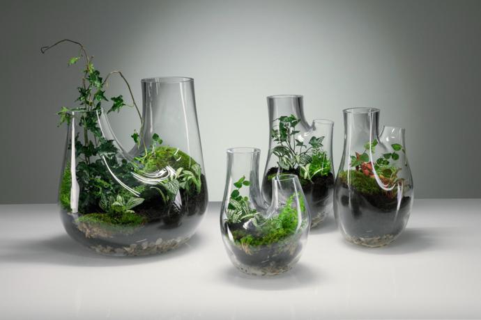 tom dixon plant collection1