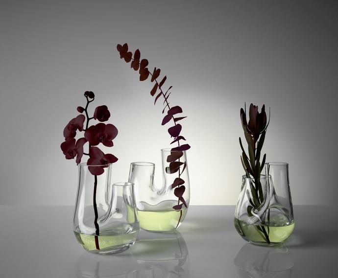tom dixon plant collection2