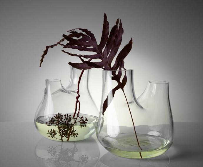 tom dixon plant collection3