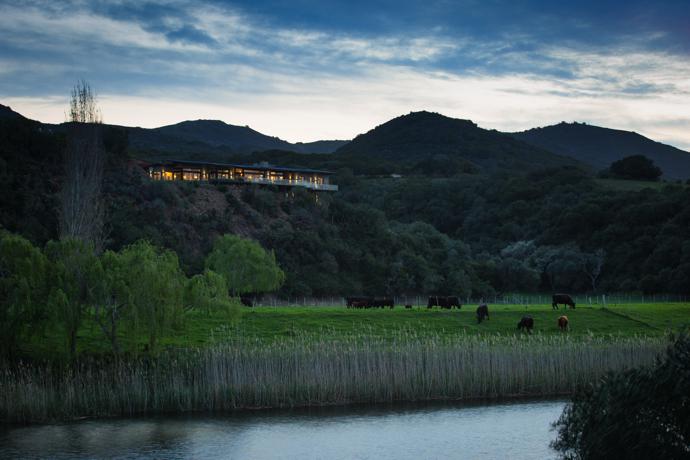 Black Angus cattle graze in the pasture on the banks of the Goukou River below the house, aptly named Heaven’s Door. With the lights on in the early evening, it stands out from its natural surroundings, but during the day the bagged brick, stone and glass exterior make the house blend in.