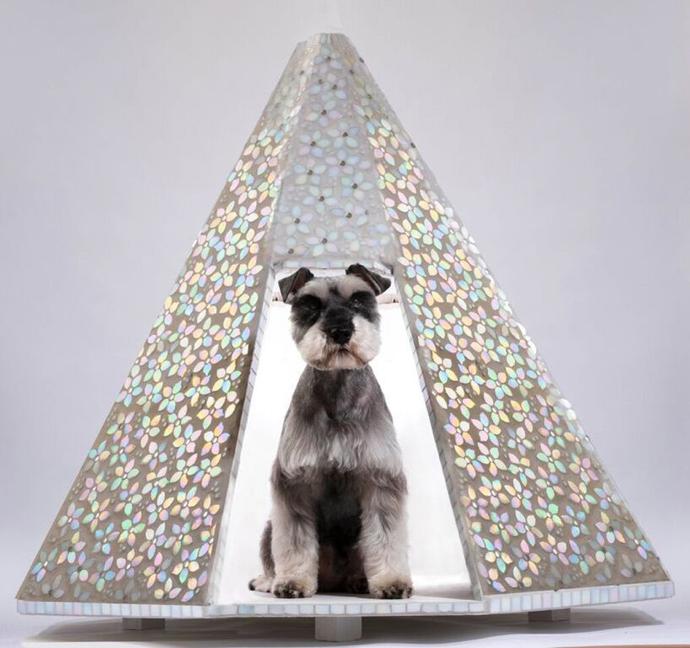 Dog house by Natalie Guy. 