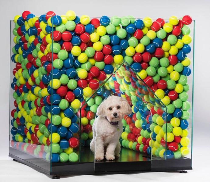 Dog house by Denizen Works, Cantifix and Arrant Land. 