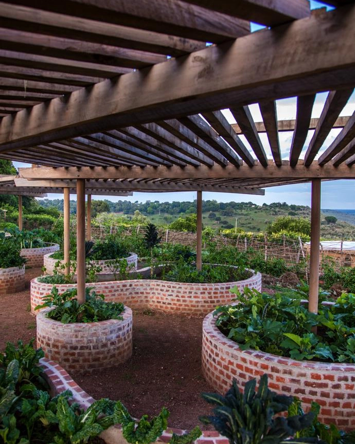 Raised beds in the rotating “vegetable clock”.