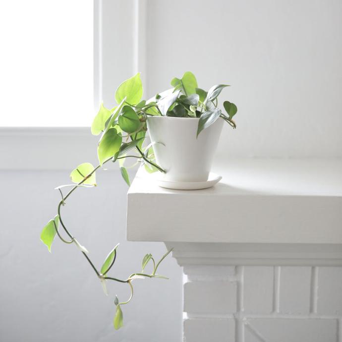 Convivial Production 4