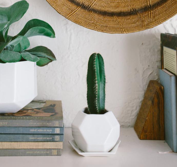 Convivial Production 7