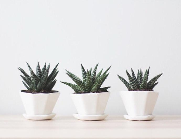 Convivial Production 8