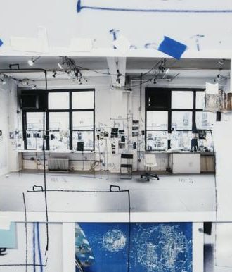 sarah sze
