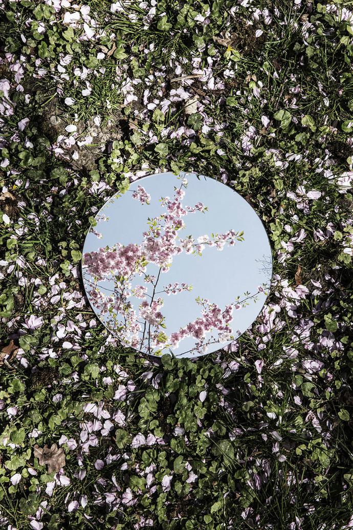 ReflectionsSebastianMagnani6