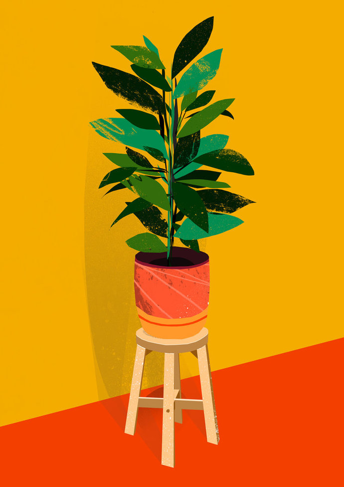 Potted Plant 2
