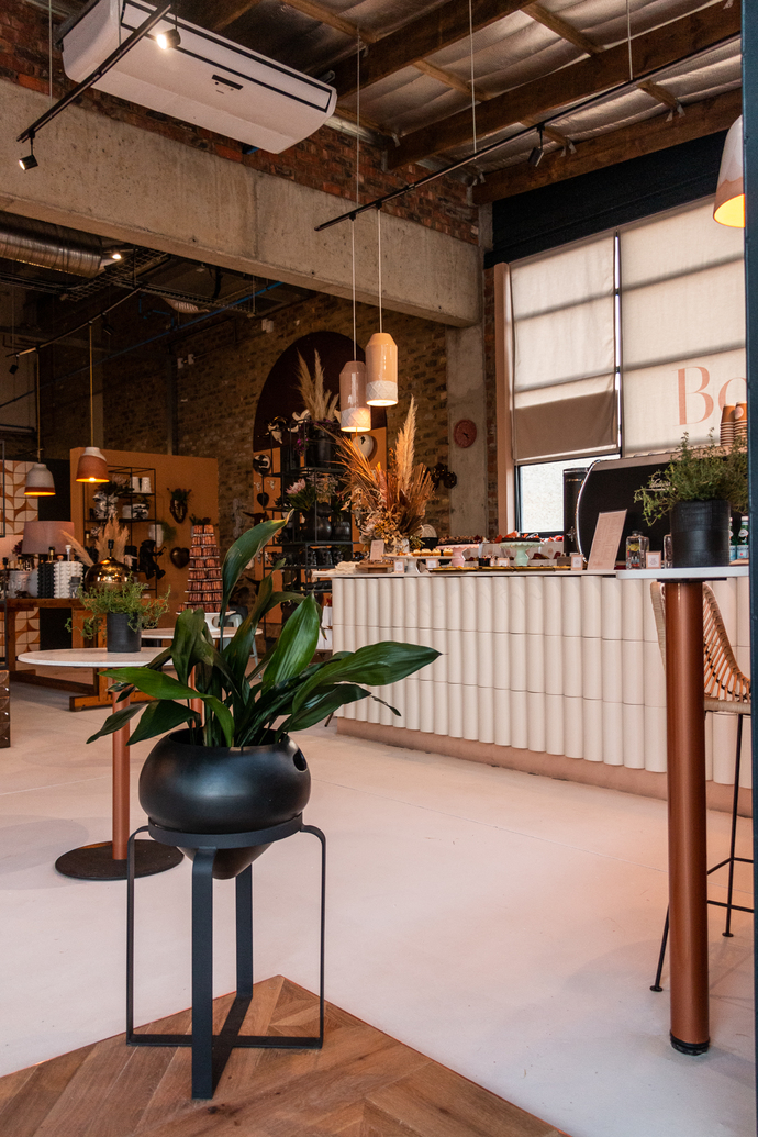 Rialheim Rand Steam-108