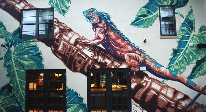 C Auret Iguana -Generator Hotel - Miami