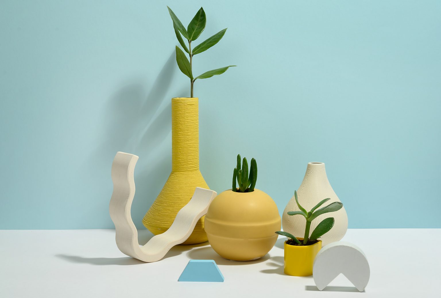 Where To Buy Indoor Plants Online in South Africa VISI