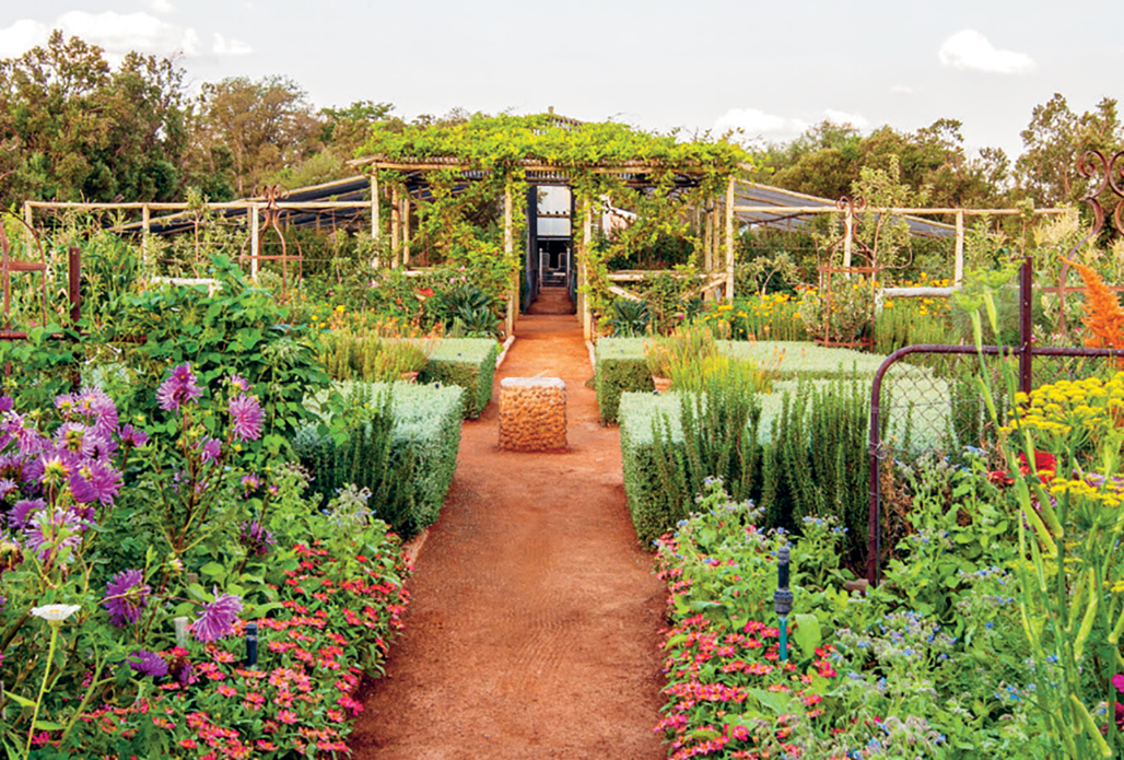 Mauritzfontein Garden: A 'Karoo Oasis' That'll Inspire Gardeners