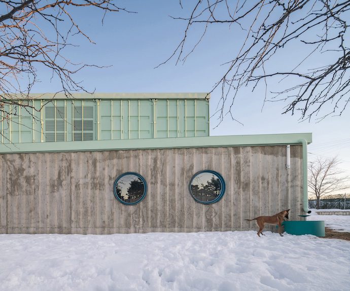 educan-school-dogs-humans_dezeen_2364_col_1-1704x1417-1
