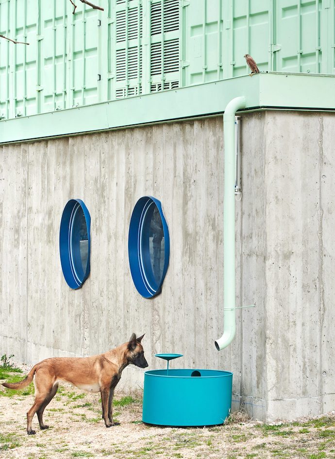 educan-school-dogs-humans_dezeen_2364_col_2-1704x2333-1