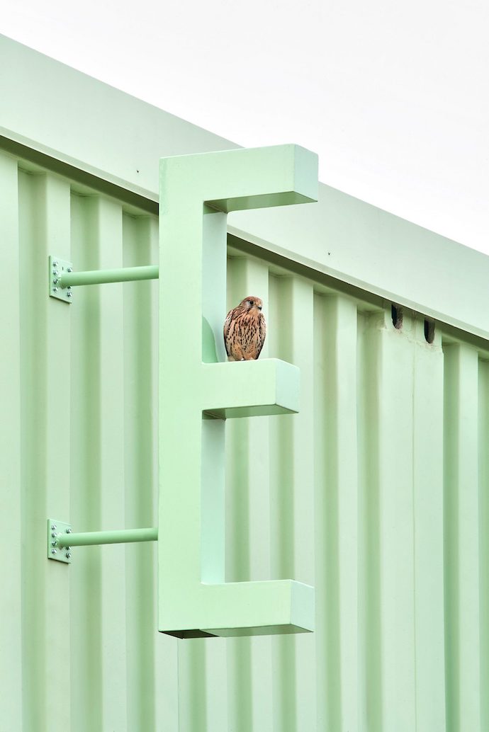 educan-school-dogs-humans_dezeen_2364_col_3-1704x2554-1