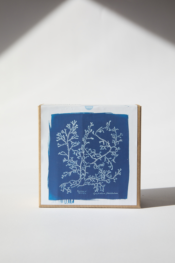 20220612Cyanotype_Packs_4864
