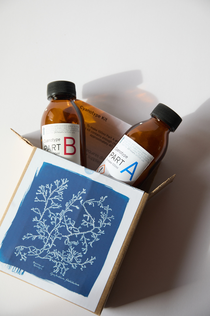 20220612Cyanotype_Packs_4984