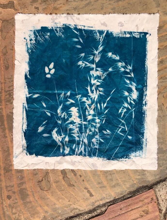All About CYANOTYPE CT