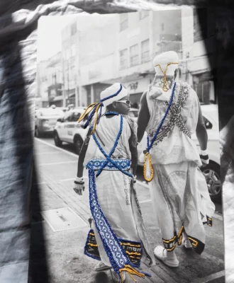 Shared Roots Renata Larroyd