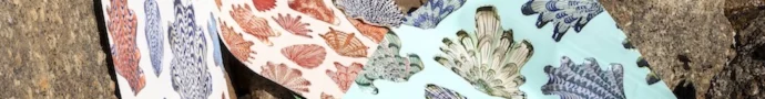 She Sells Seashells: Cara Saven Wall Design Collabs with Lucie De Moyencourt